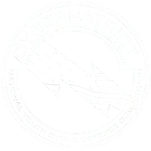 CyberPatriot Logo